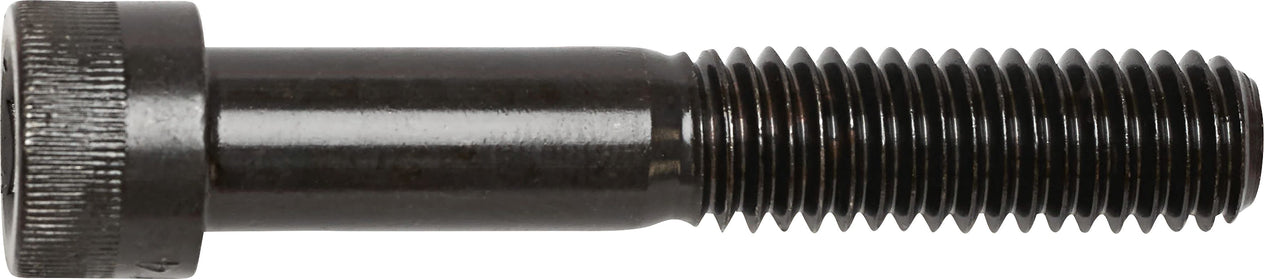 DV_ZoomOriginal_I_3458.jpg