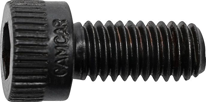 DV_ZoomOriginal_I_3483.jpg