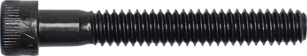 DV_ZoomOriginal_I_3516.jpg