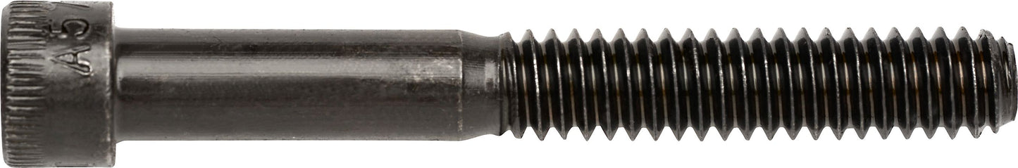 DV_ZoomOriginal_I_3517.jpg