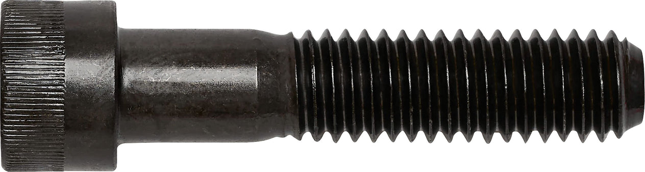 DV_ZoomOriginal_I_3542.jpg