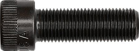 DV_ZoomOriginal_I_3552 01.jpg