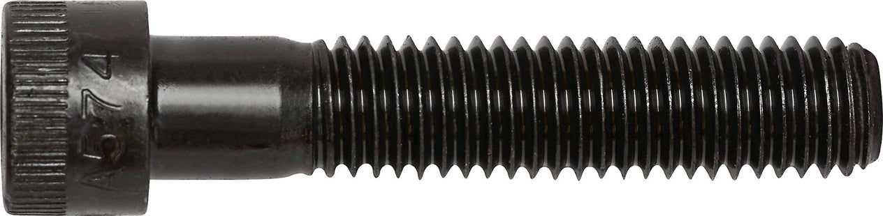 DV_ZoomOriginal_I_3555.jpg