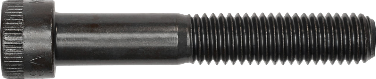 DV_ZoomOriginal_I_3556.jpg