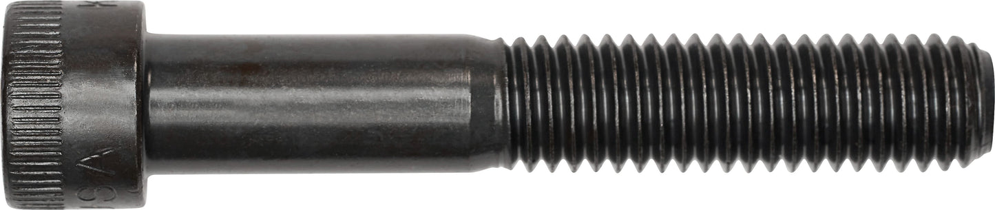 DV_ZoomOriginal_I_3556.jpg