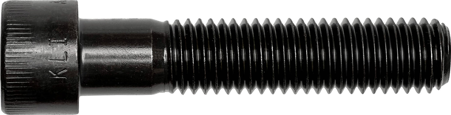 DV_ZoomOriginal_I_3566.jpg