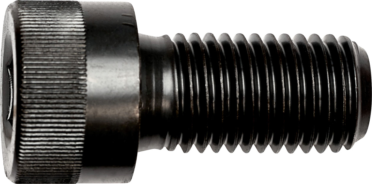 DV_ZoomOriginal_I_3591.jpg