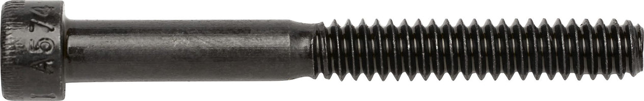 DV_ZoomOriginal_I_3596.jpg
