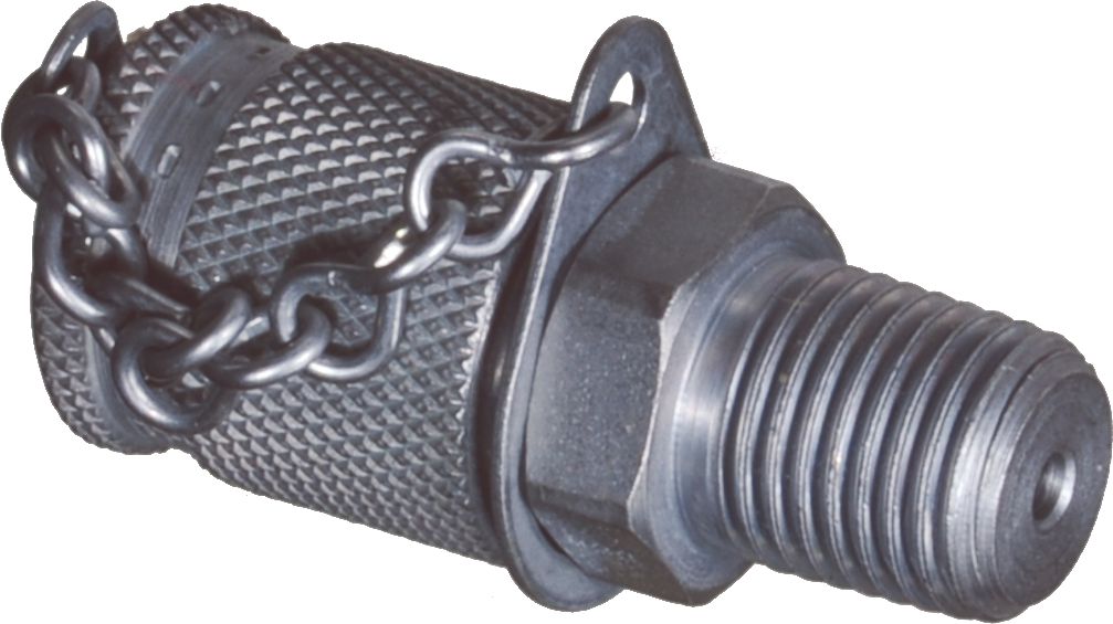 DV_ZoomOriginal_I_41532.jpg