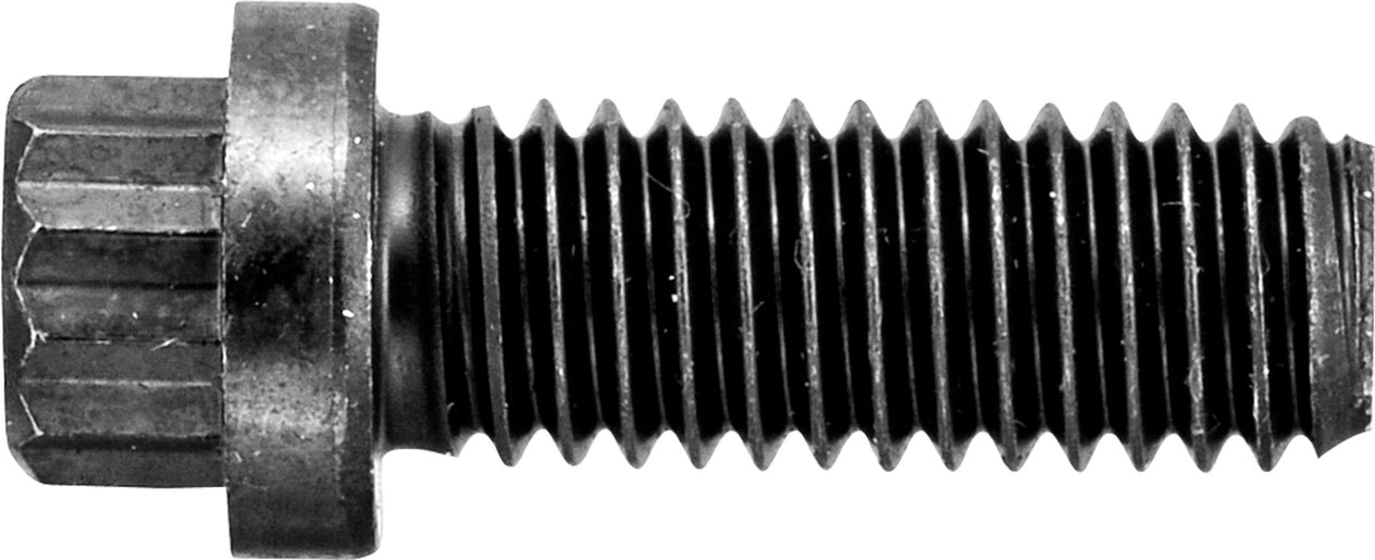 DV_ZoomOriginal_I_42237.jpg