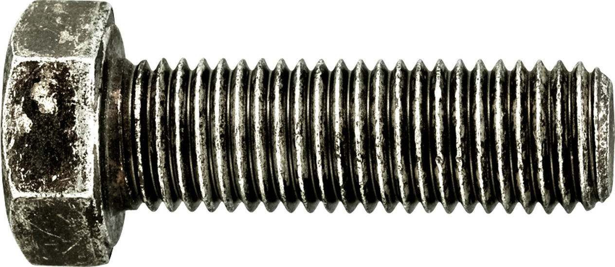 DV_ZoomOriginal_I_42261.jpg