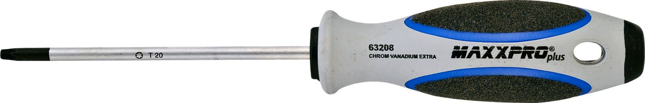 DV_ZoomOriginal_I_42357.jpg