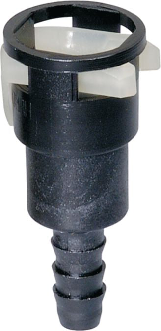 DV_ZoomOriginal_I_50059.jpg