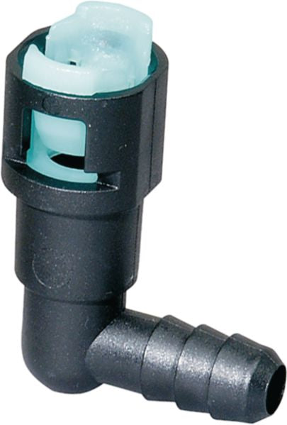 DV_ZoomOriginal_I_50068.jpg
