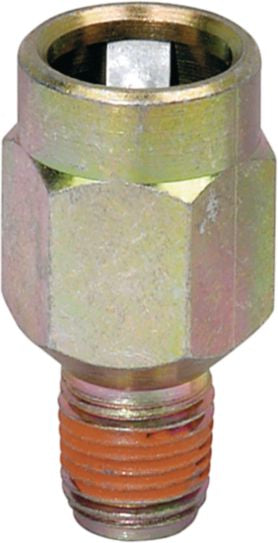 DV_ZoomOriginal_I_50082.jpg