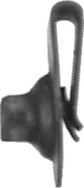 DV_ZoomOriginal_I_52526.jpg
