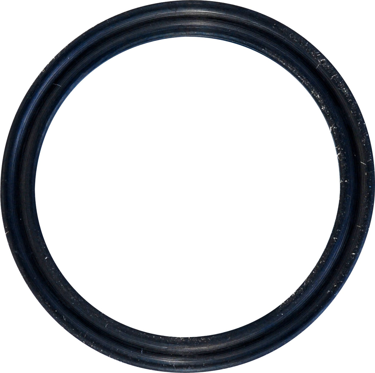 DV_ZoomOriginal_I_53009.jpg