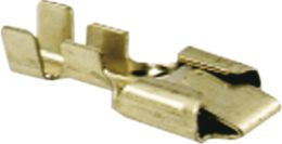 DV_ZoomOriginal_I_54061.jpg