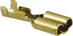 DV_ZoomOriginal_I_54066.jpg