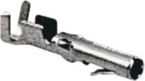 DV_ZoomOriginal_I_54069.jpg