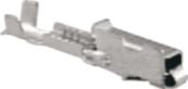 DV_ZoomOriginal_I_54080.jpg