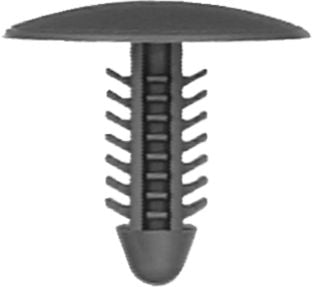 DV_ZoomOriginal_I_54235.jpg