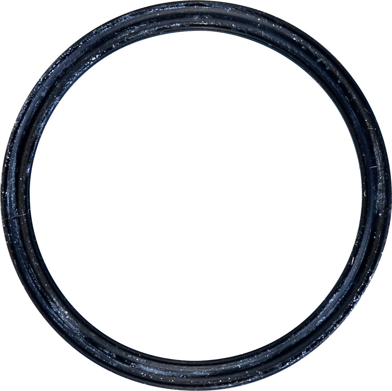 DV_ZoomOriginal_I_54925.jpg