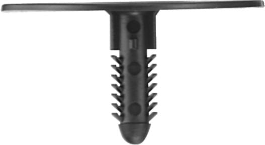 DV_ZoomOriginal_I_55617.jpg