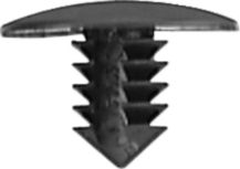 DV_ZoomOriginal_I_55899.jpg