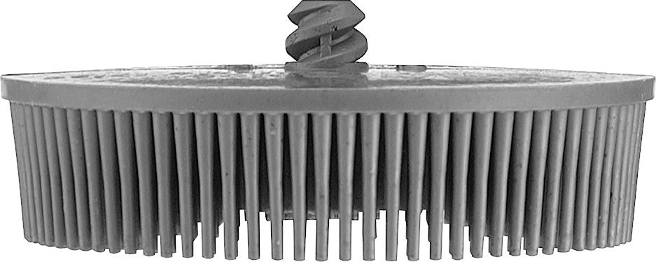 DV_ZoomOriginal_I_56538_SD1.jpg