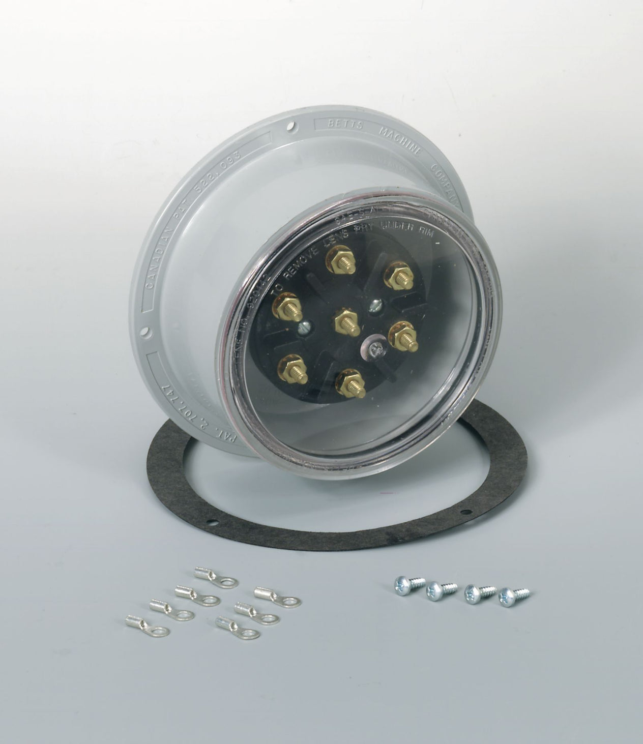 DV_ZoomOriginal_I_57493.jpg