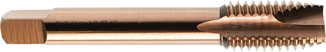DV_ZoomOriginal_I_61138.jpg