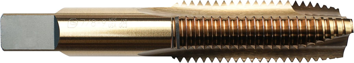 DV_ZoomOriginal_I_61146.jpg