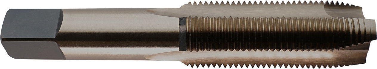 DV_ZoomOriginal_I_61147.jpg