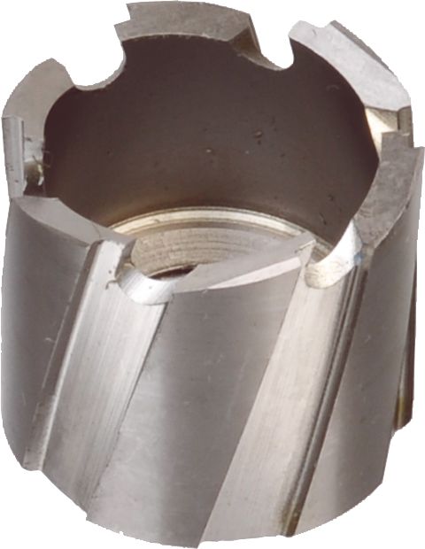 DV_ZoomOriginal_I_61379.jpg