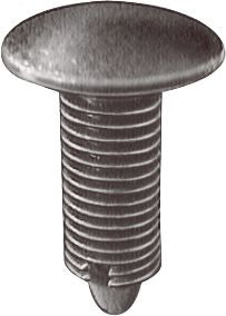 DV_ZoomOriginal_I_61589.jpg