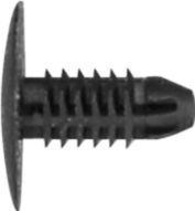 DV_ZoomOriginal_I_61596.jpg