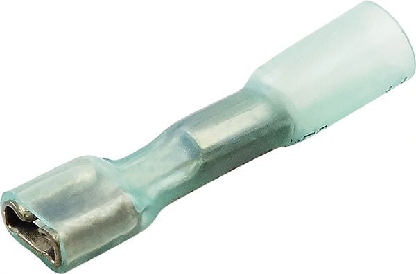 DV_ZoomOriginal_I_62111.jpg