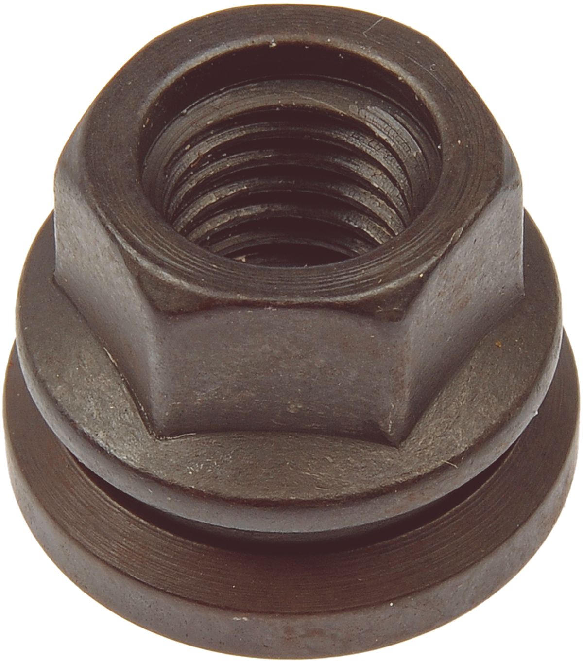 DV_ZoomOriginal_I_64005.jpg