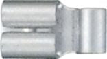 DV_ZoomOriginal_I_81109.jpg