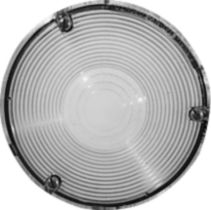 DV_ZoomOriginal_I_83264.jpg