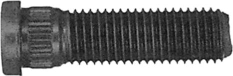 DV_ZoomOriginal_I_85403.jpg