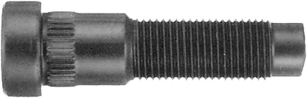 DV_ZoomOriginal_I_85404.jpg