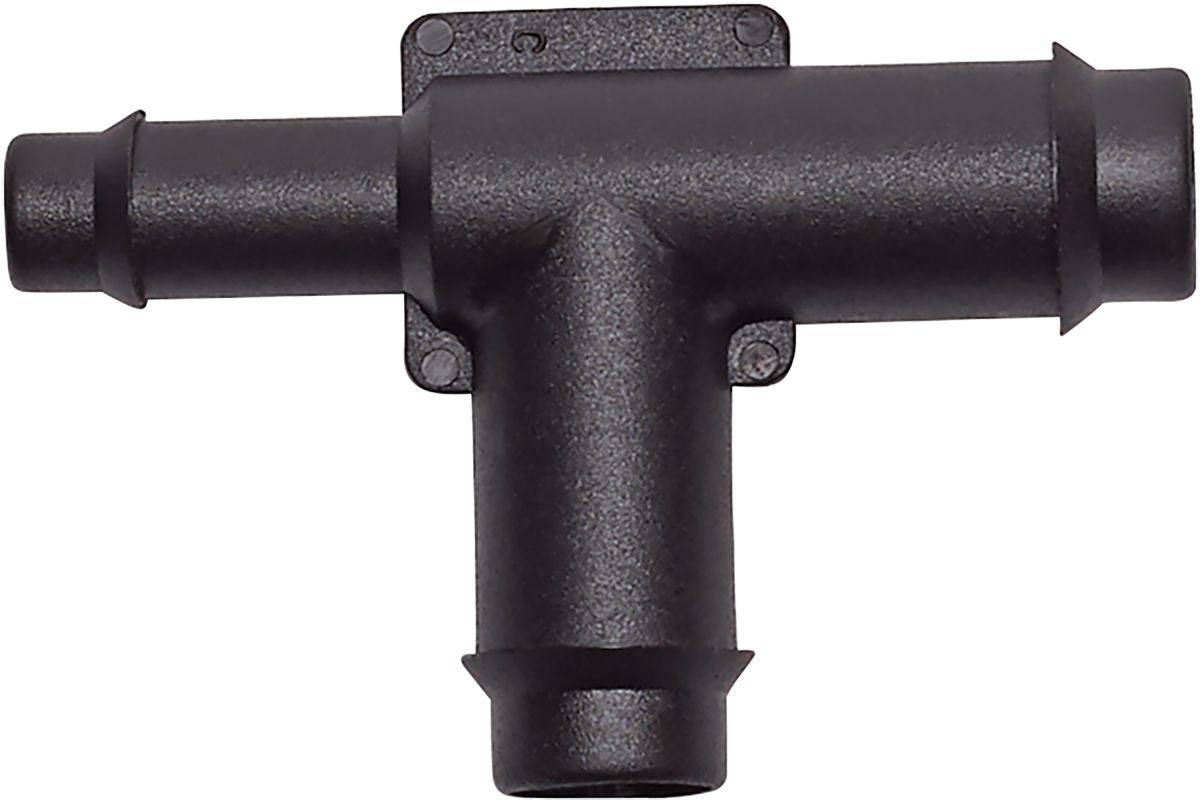 DV_ZoomOriginal_I_89135.jpg