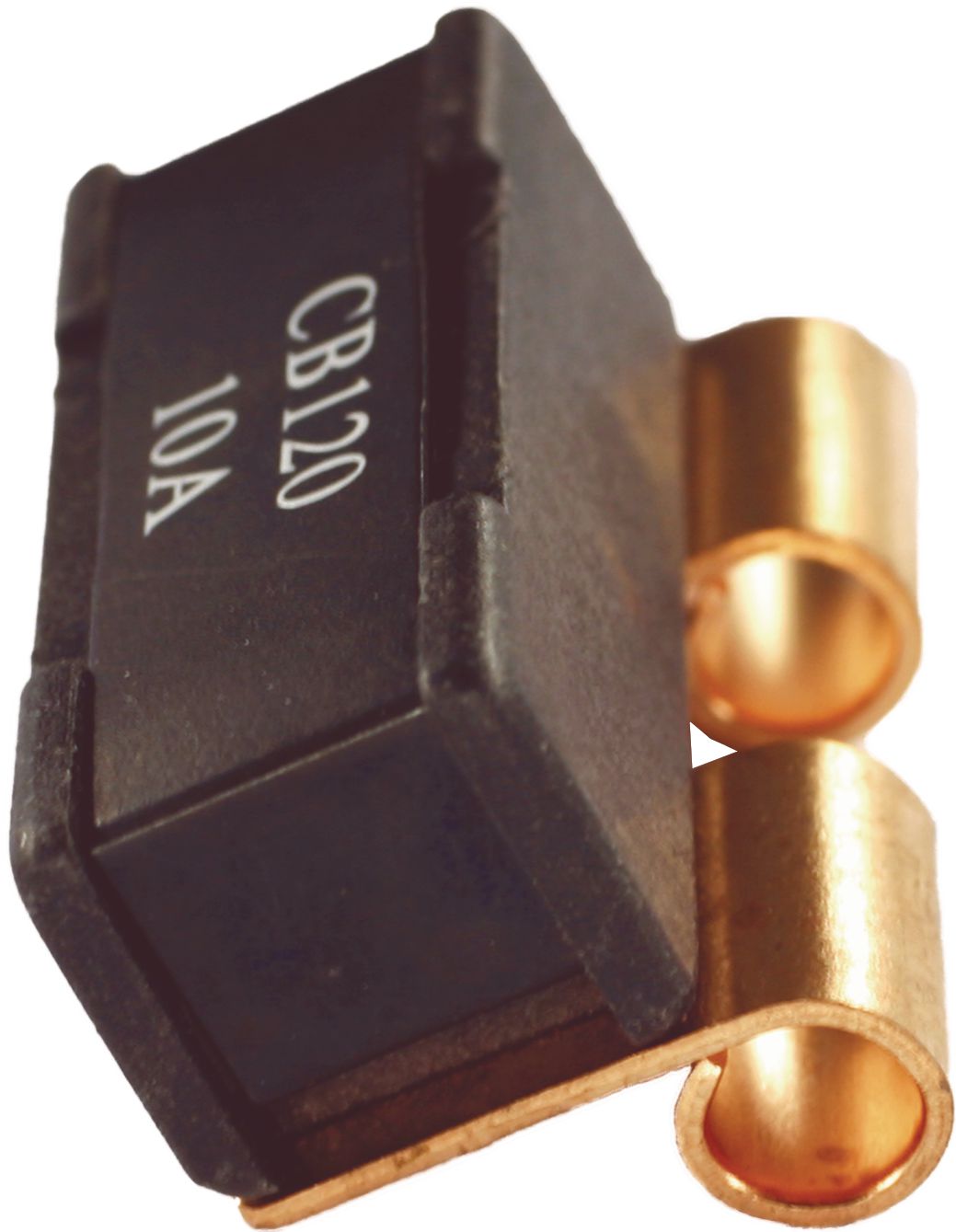 DV_ZoomOriginal_I_90368.jpg