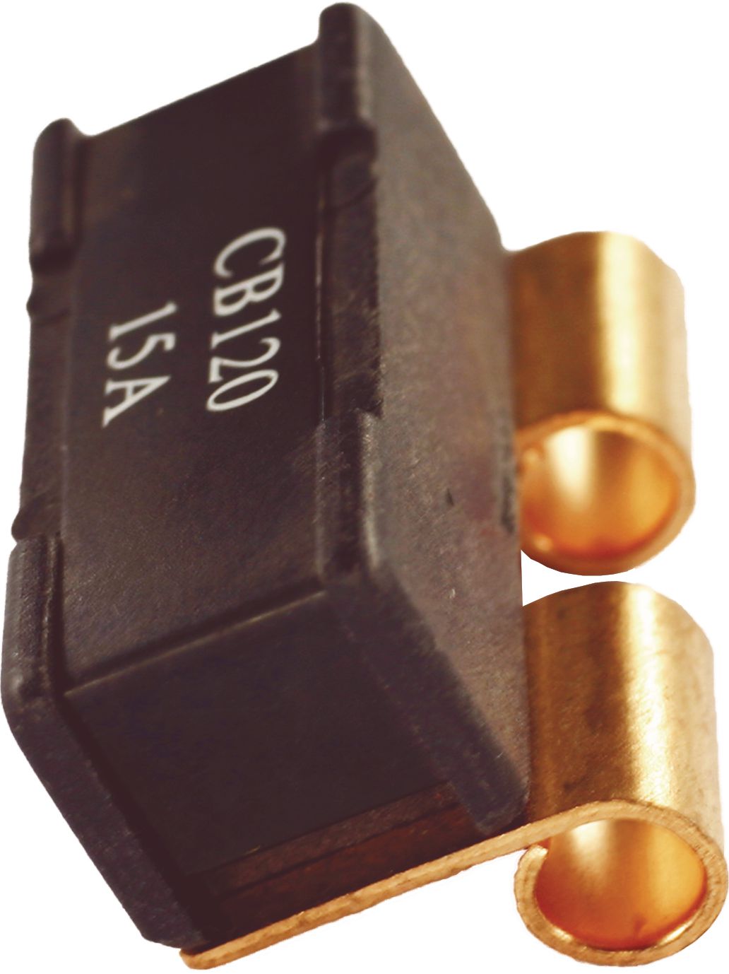 DV_ZoomOriginal_I_90369.jpg