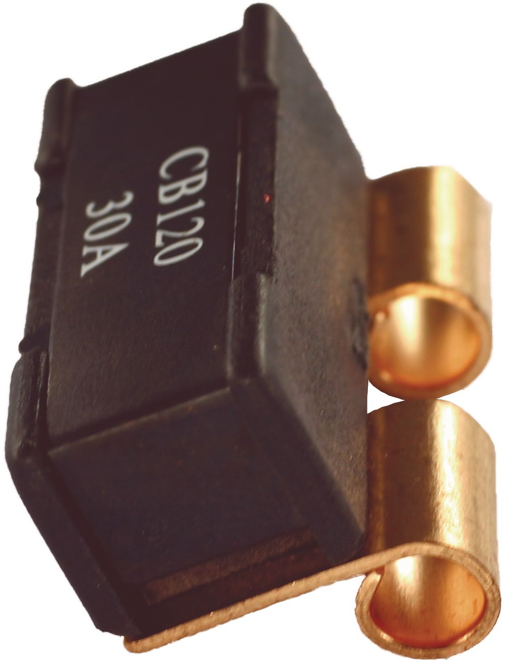 DV_ZoomOriginal_I_90372.jpg