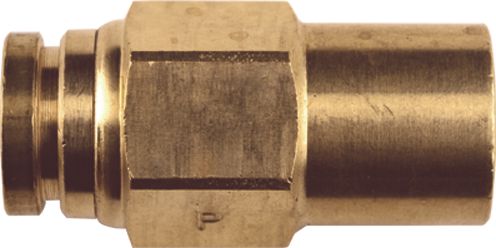 DV_ZoomOriginal_I_91833.jpg