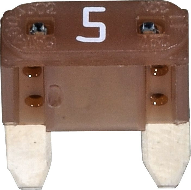 DV_ZoomOriginal_I_95700.jpg