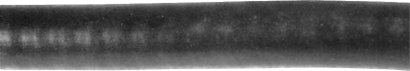 DV_ZoomOriginal_I_97275.jpg